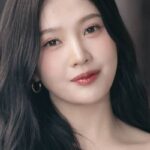 Joy Red Velvet