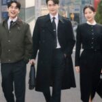 Where to Watch Law and The City