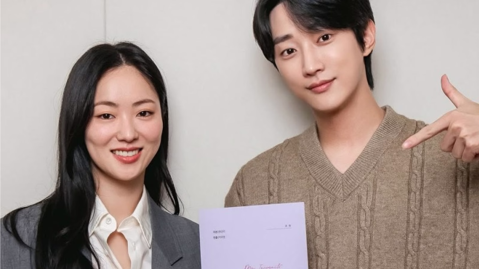 Ms. Incognito kdrama